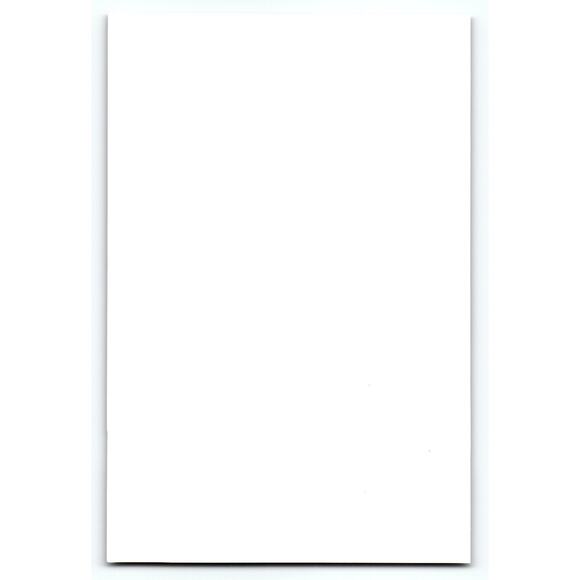 Vintage Halloween Postcard Black Cat Flying Bat Pumpkin Moon Photochrome Fantasy - Picture 2 of 2